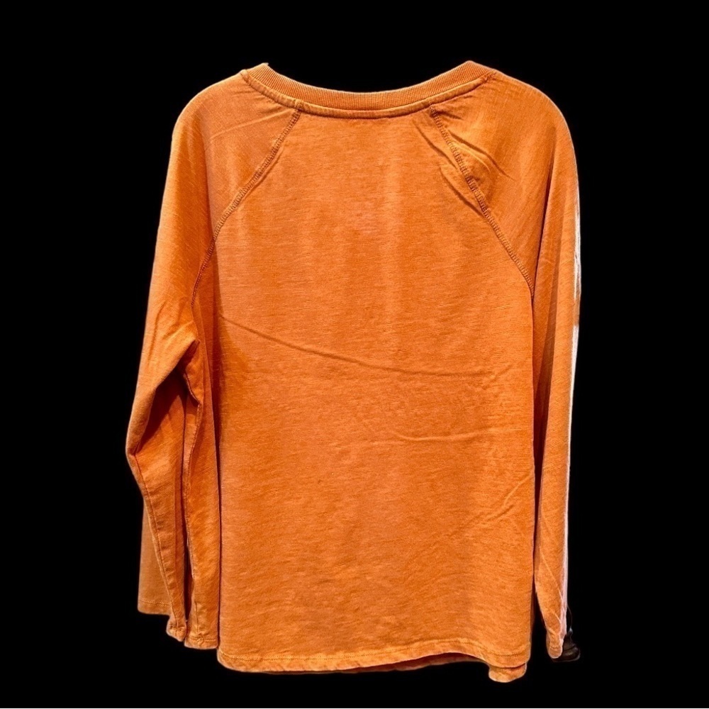 TERRA SKY, NWOT, WOMENS, LONG SLEEVE SHIRT WITH OPEN NOTCHED NECK. SIZE 14W - Picture 2 of 5